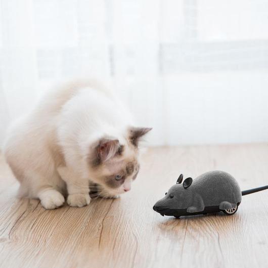 Jouet Souris Chat Télécommande