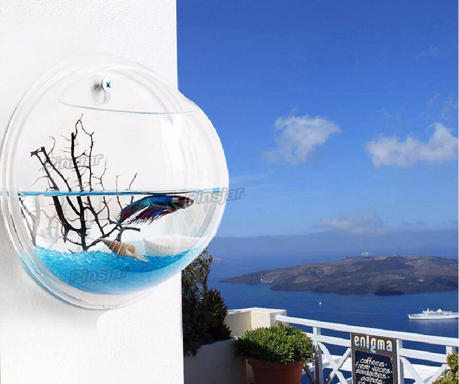Aquarium Suspendu À Poissons En Acrylique