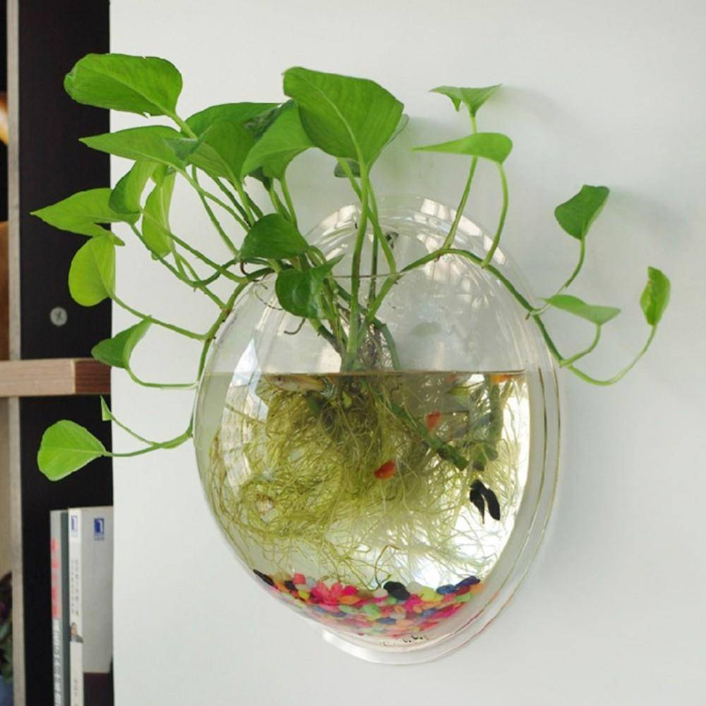 Aquarium Suspendu À Poissons En Acrylique