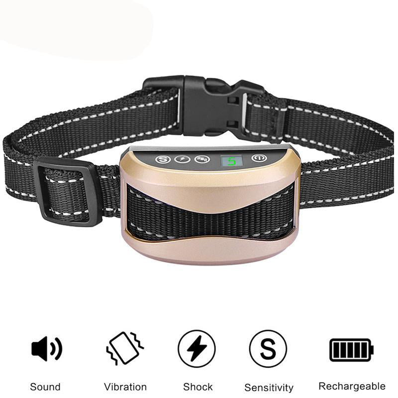 Dressage De Chiens-Pas De Collier De Chien En Écorce