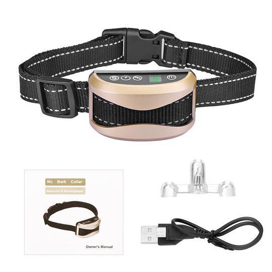 Dressage De Chiens-Pas De Collier De Chien En Écorce
