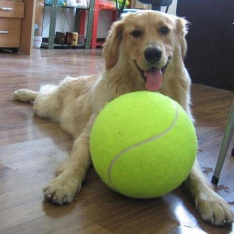 Jouet Géant De Balle De Tennis Pour Chien À Mâcher