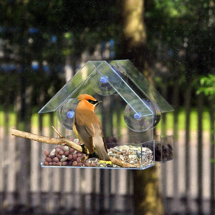 Mangeoire À Oiseaux