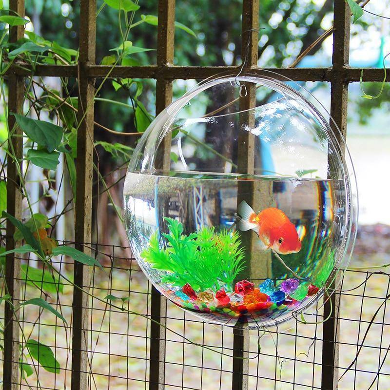 Aquarium Suspendu À Poissons En Acrylique