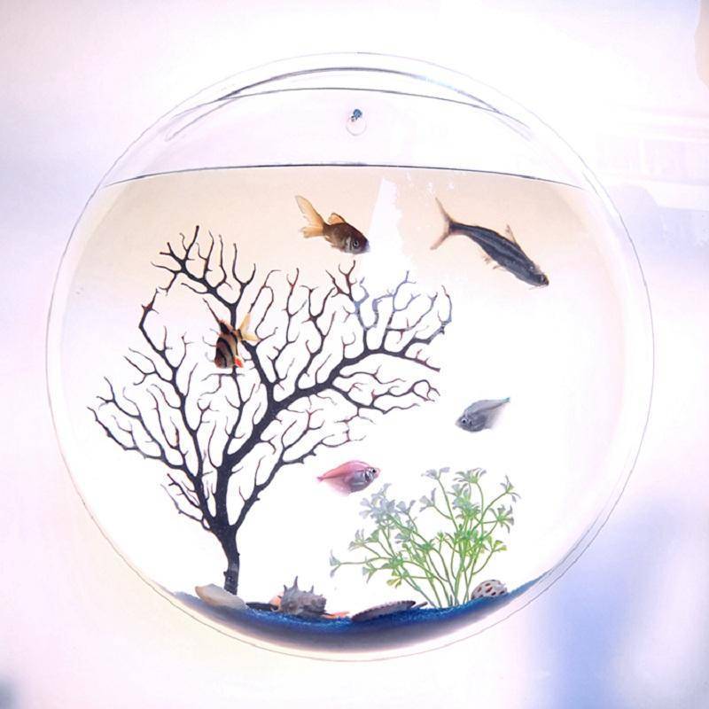 Aquarium Suspendu À Poissons En Acrylique