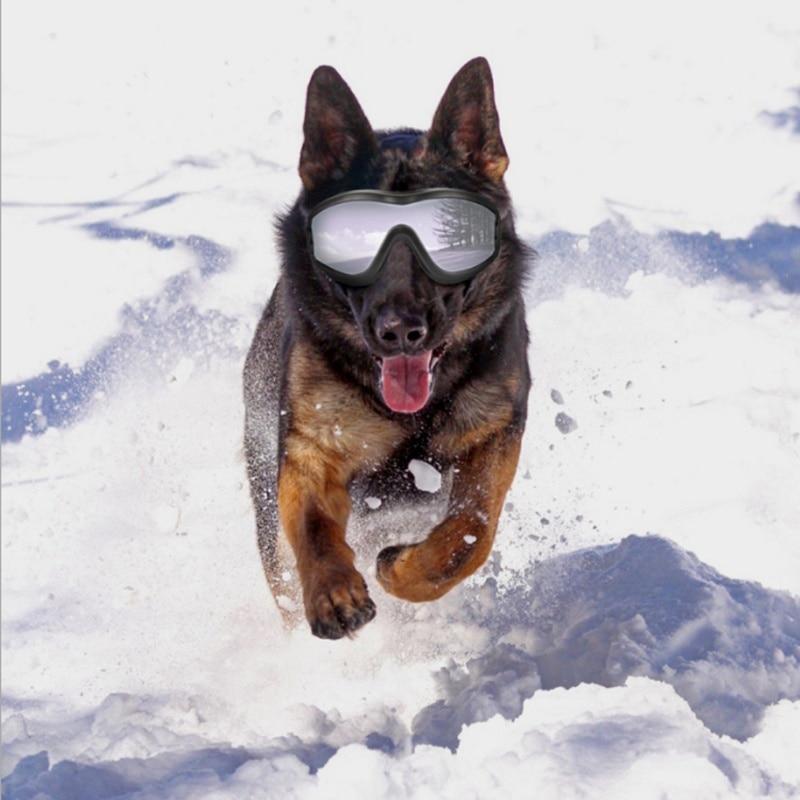 Cool Dog Googles Avec Protection Uv