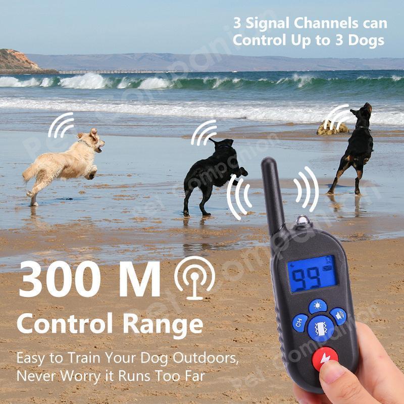 Les Colliers De Dressage Électroniques Imperméables Pour Chiens Arrêtent Les Aboiements De La Télécommande