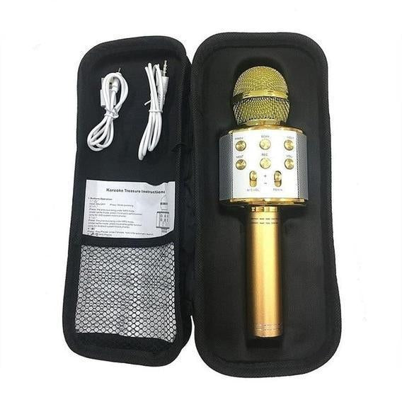 Microphone Karaoké Sans Fil | Faire La Fête Partout