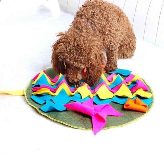 Tapis D'Animal Familier