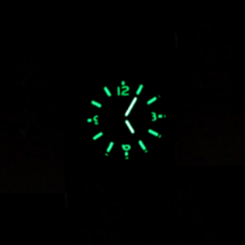Veille Tactique Militaire-Veille Militaire De Survie